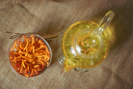 ĐÔNG TRÙNG HẠ THẢO TƯƠI