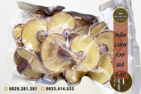 NẤM LINH CHI NON ĐÀ LẠT ( Loại nguyên tai)