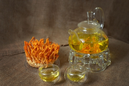 COMBO ĐÔNG TRÙNG HẠ THẢO KHÔ VÀ TƯƠI