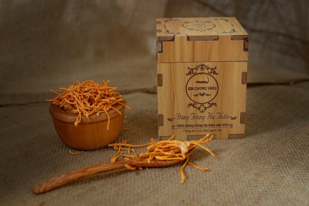 COMBO ĐÔNG TRÙNG HẠ THẢO KHÔ VÀ TƯƠI